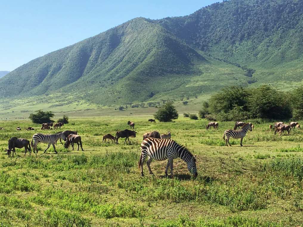 Ngorongoro Crater Tanzania